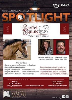SpotlightCoverMay2025